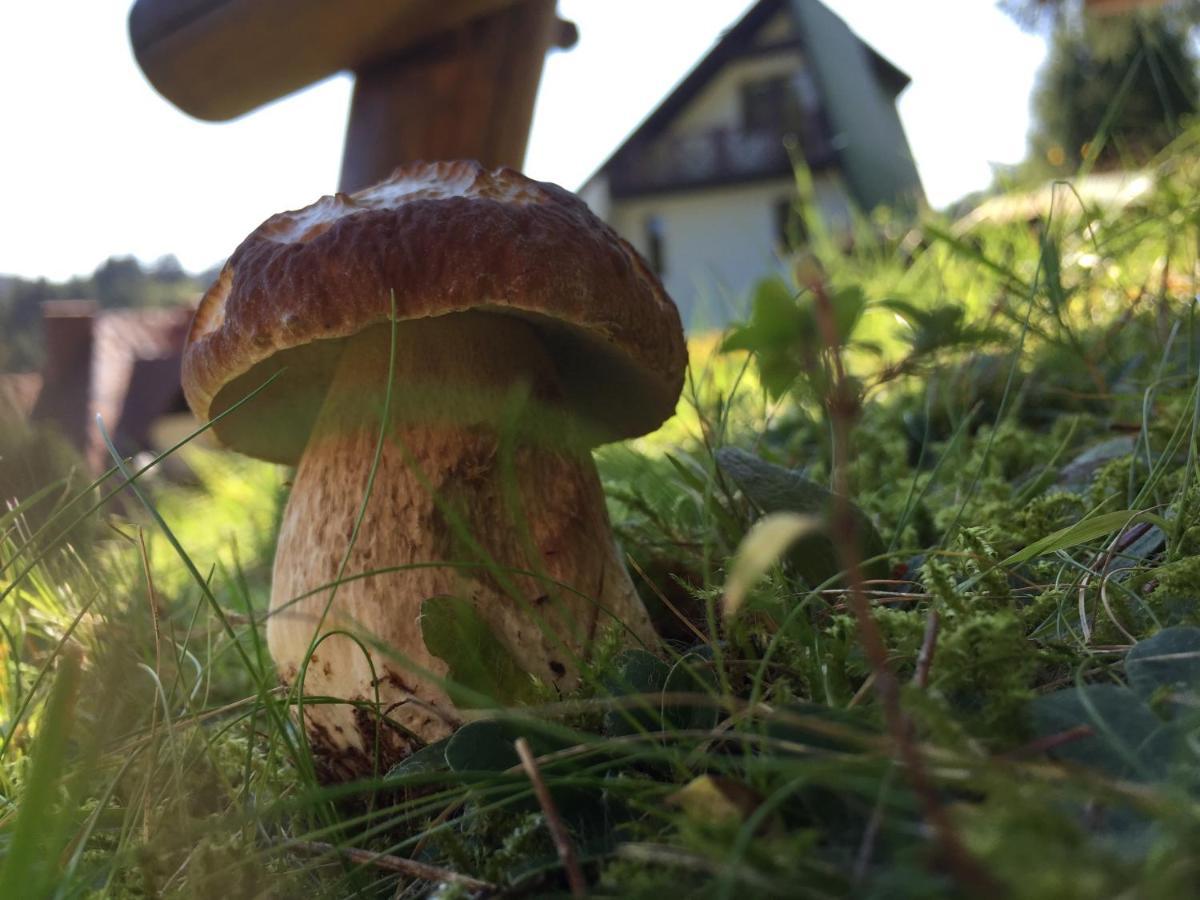 Cerla Korbielów Eksteriør bilde